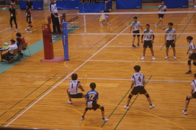 DSC01381.JPG