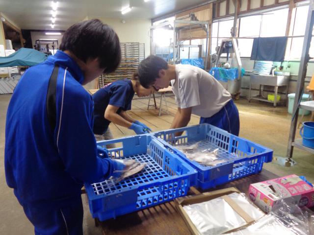 DSC02086.JPG