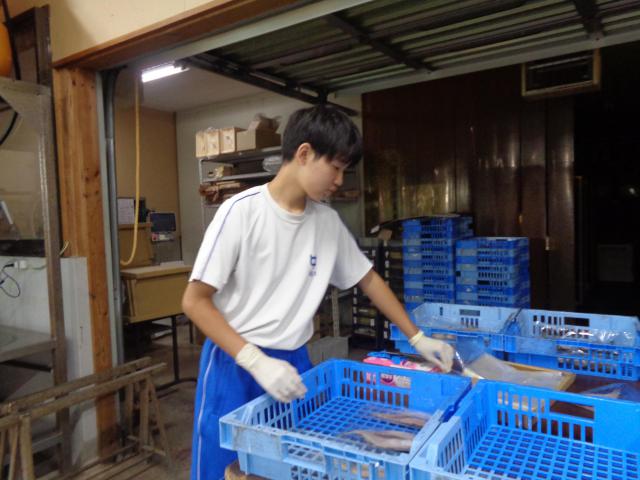 DSC02100.JPGのサムネイル画像
