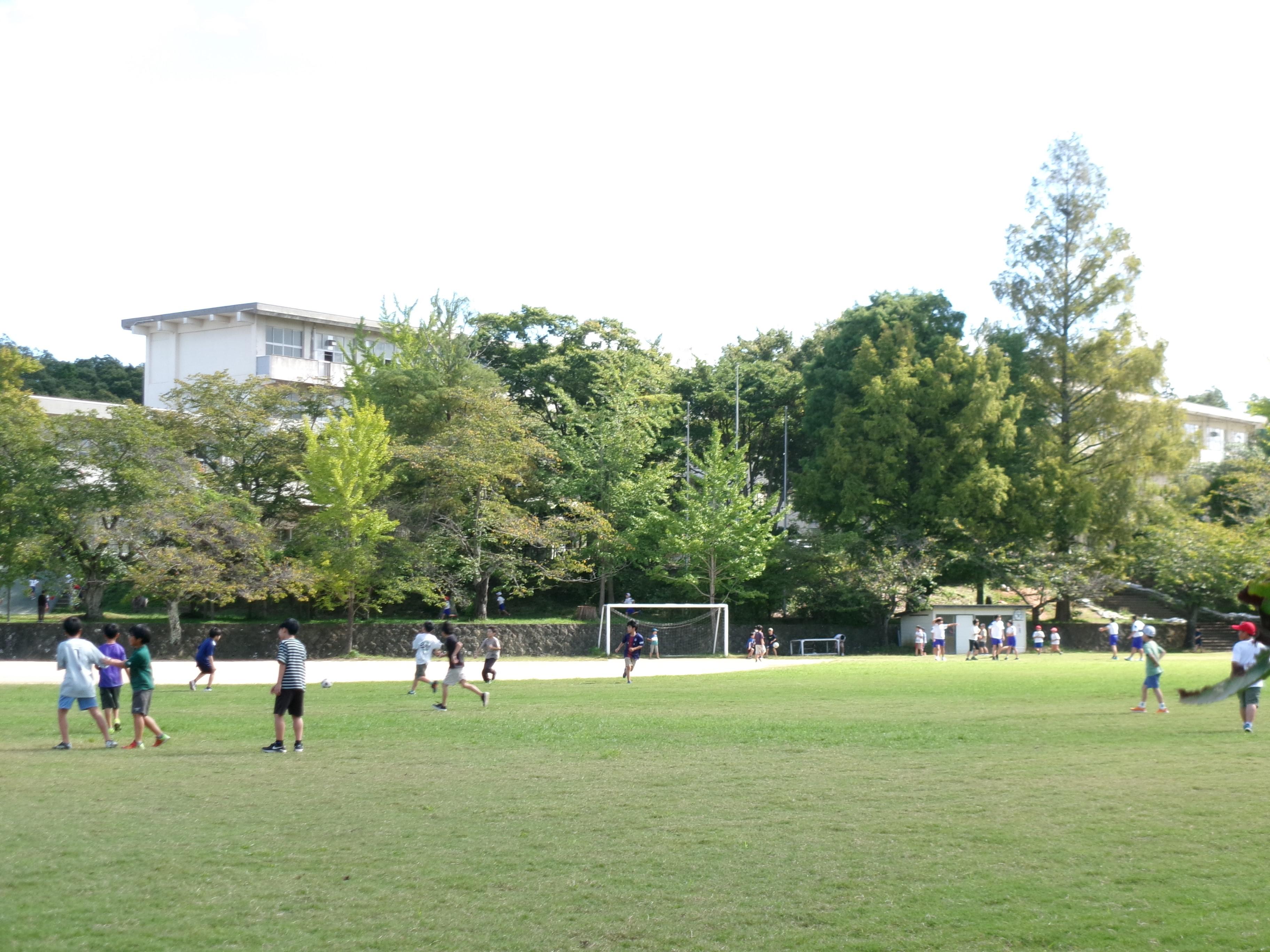 100_0287.jpg