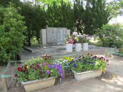 IMG_5947.JPG