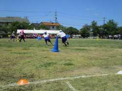 IMG_6571.JPG