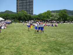 IMG_6587.JPG