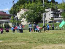 IMG_6600.JPG