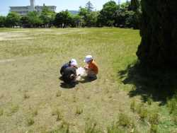 IMG_6782.JPG