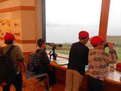 DSCN5803.JPG
