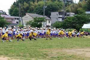 IMG_2811.JPG