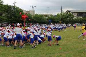 IMG_2861.JPG