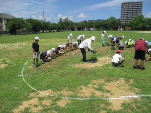 IMG_4266.JPG