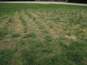 IMG_4281.JPG