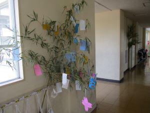IMG_4504.JPG