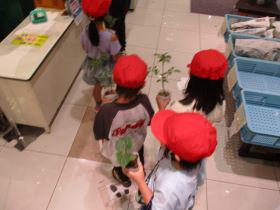 IMG_9496.JPG