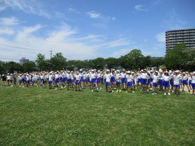 IMG_9614.JPG
