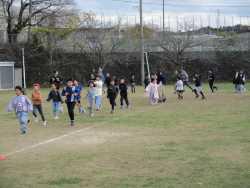 IMG_9660.JPG