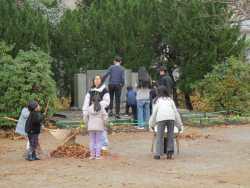 IMG_9779.JPG