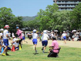IMG_9872.JPG