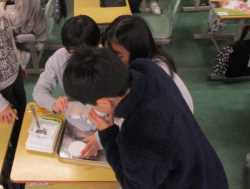 IMG_9966.JPG