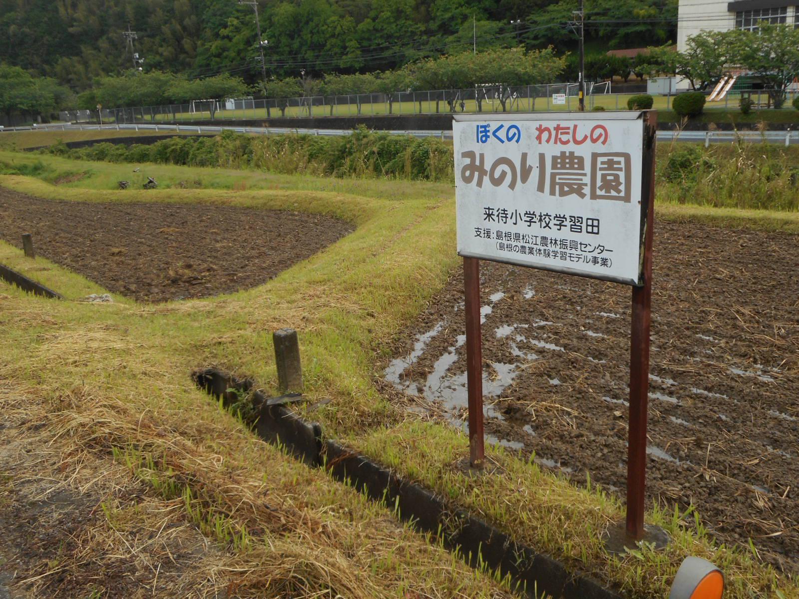 DSCN0330.JPG