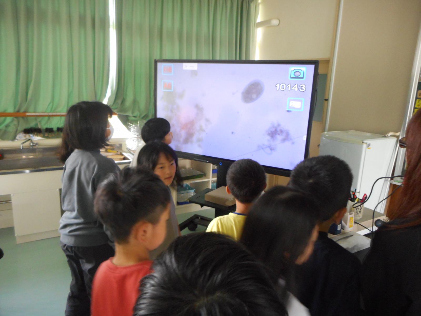 DSCN0413.JPG