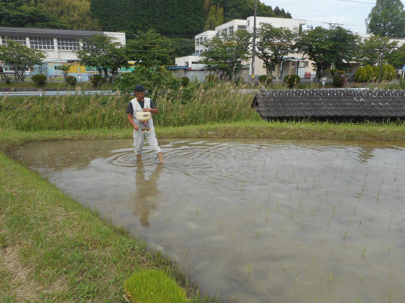 DSCN0486.JPG