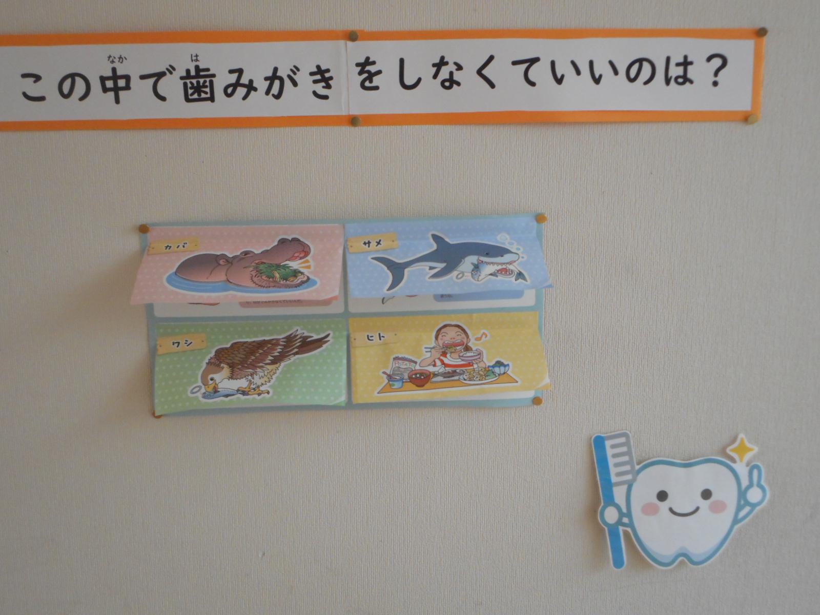 DSCN0650.JPG