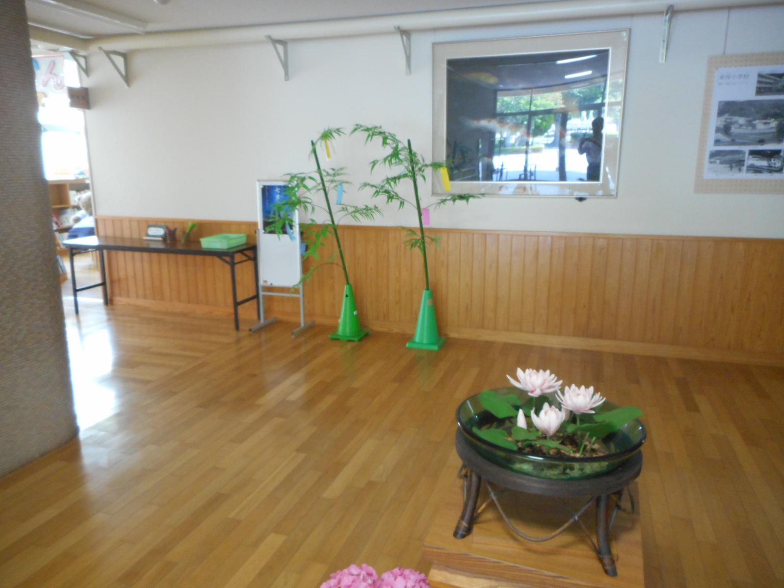 DSCN0658.JPG
