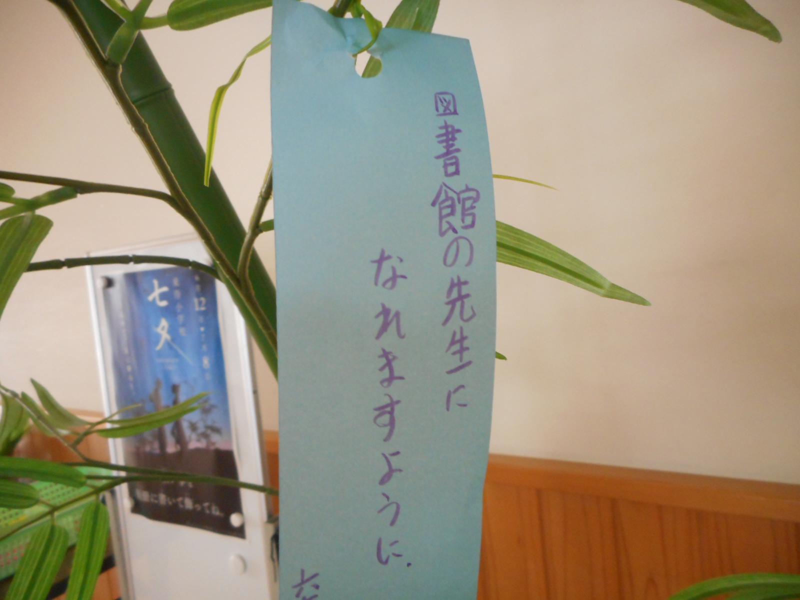 DSCN0661.JPG