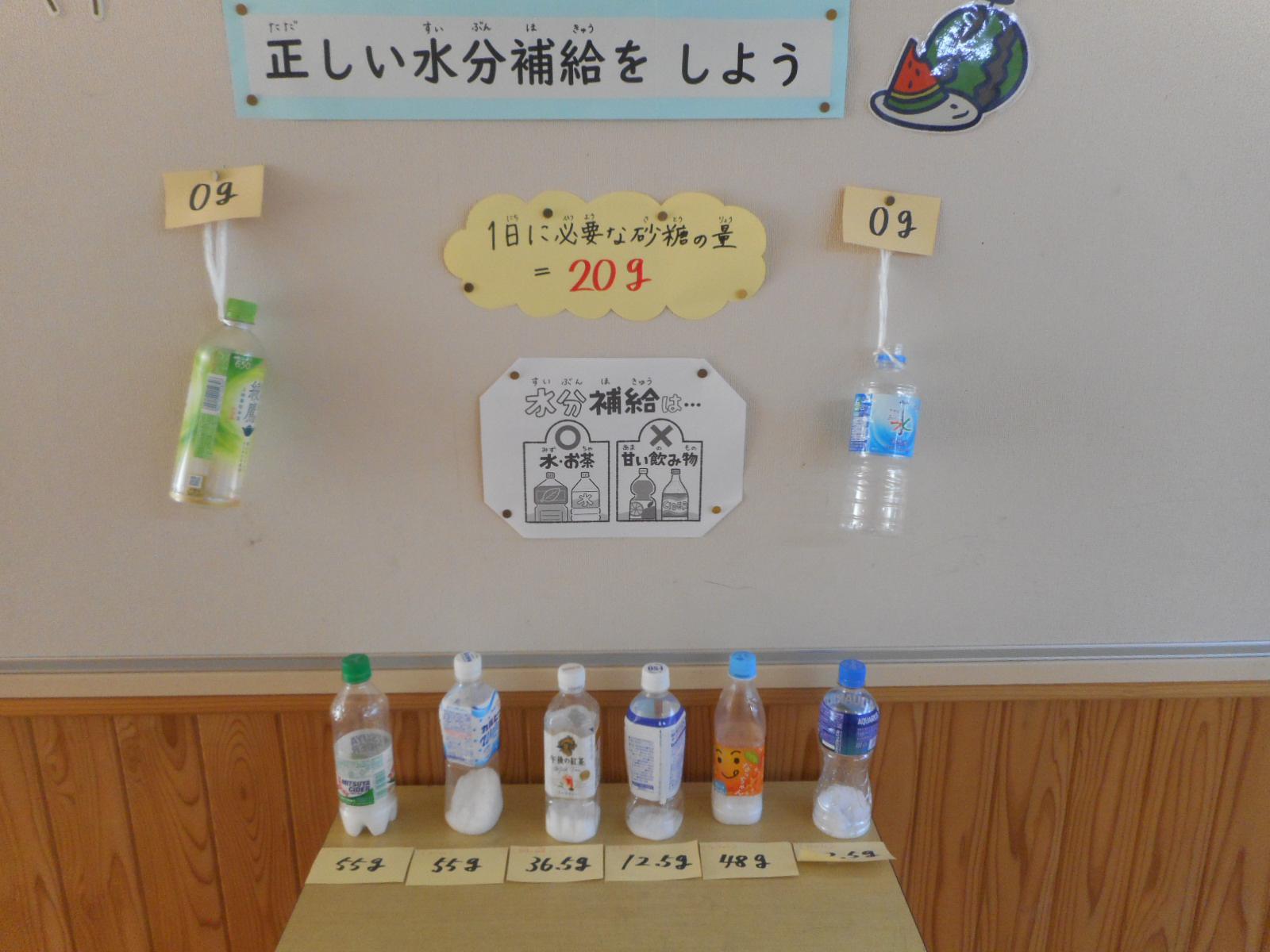 DSCN0713.JPG