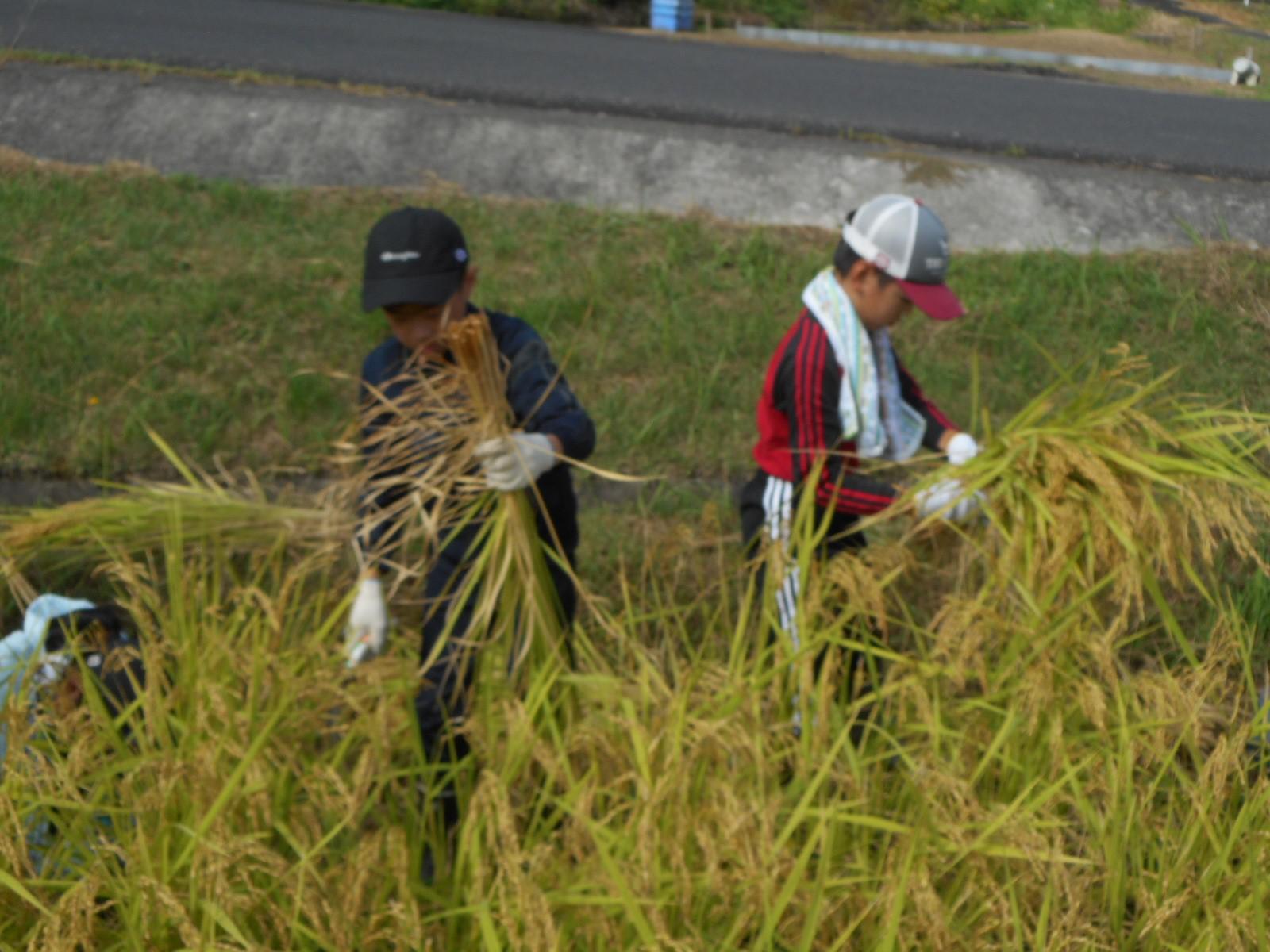 DSCN0839.JPG