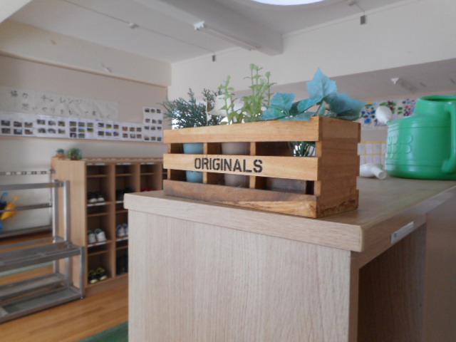 DSCN1578.JPG
