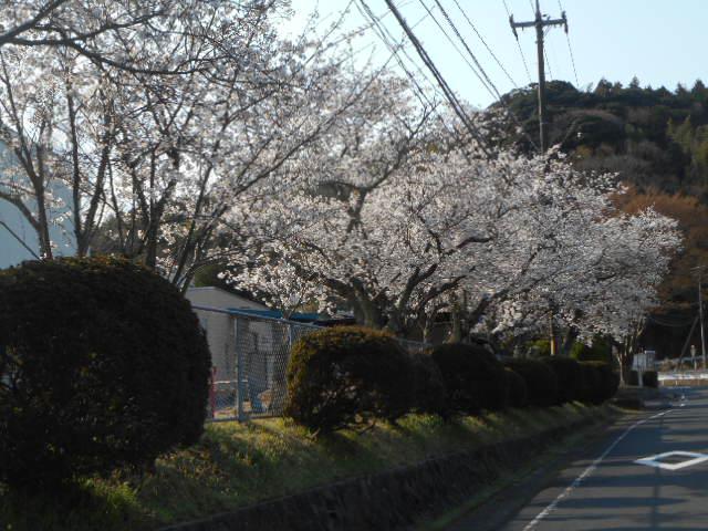 DSCN2037.JPG