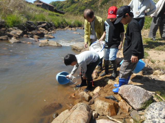 DSCN2291.JPG