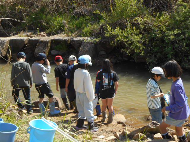 DSCN2314.JPG