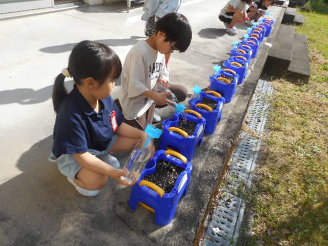 DSCN2347.JPG