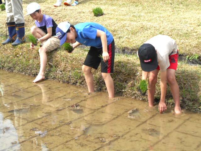 DSCN2366.JPG