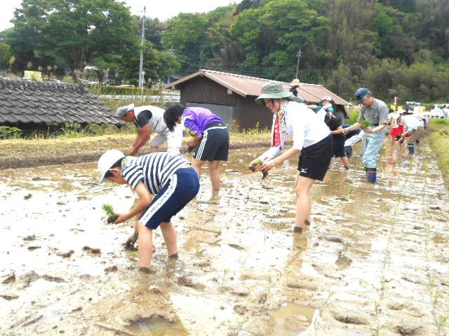 DSCN2375.JPG