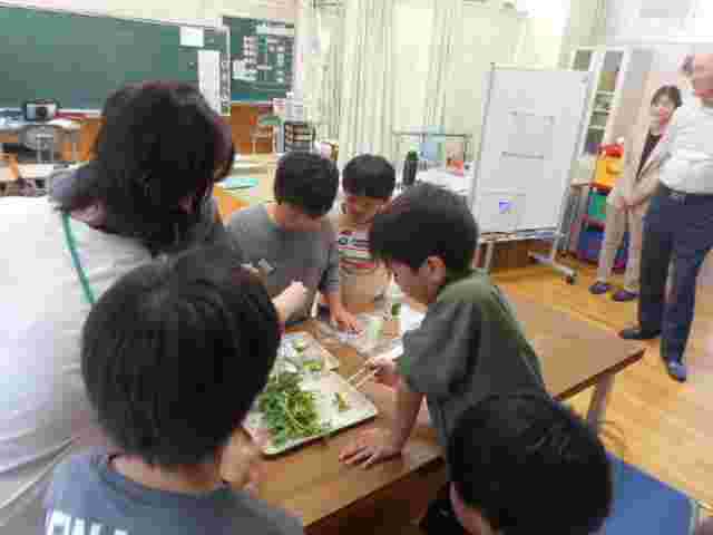 DSCN2701.JPG