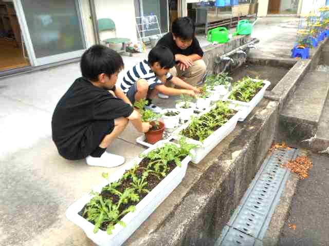 DSCN2764.JPG