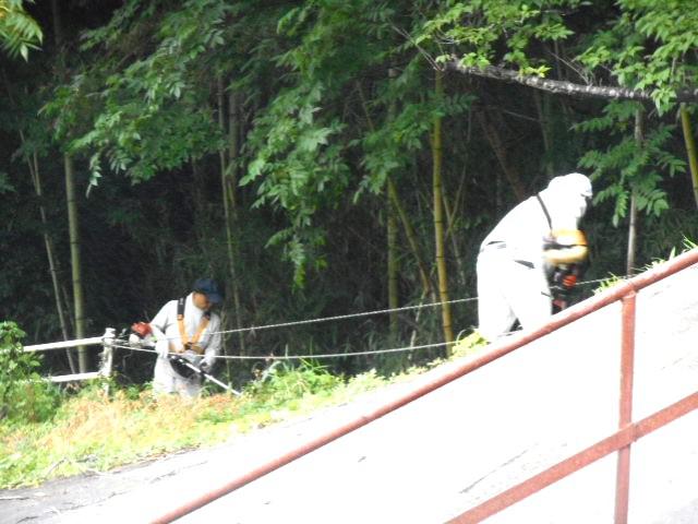 DSCN2826.JPG