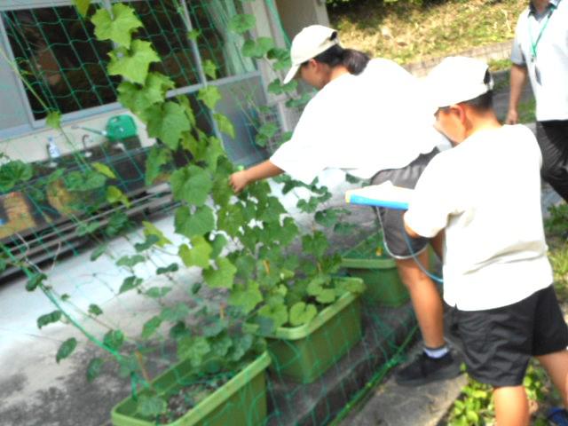 DSCN3098.JPG