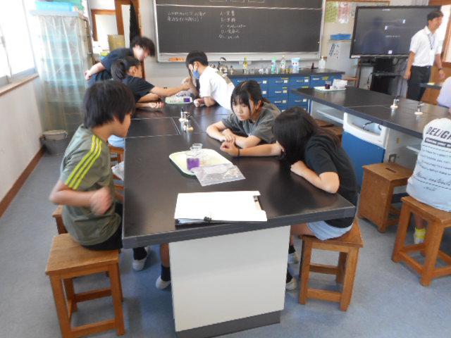 DSCN3367.JPG