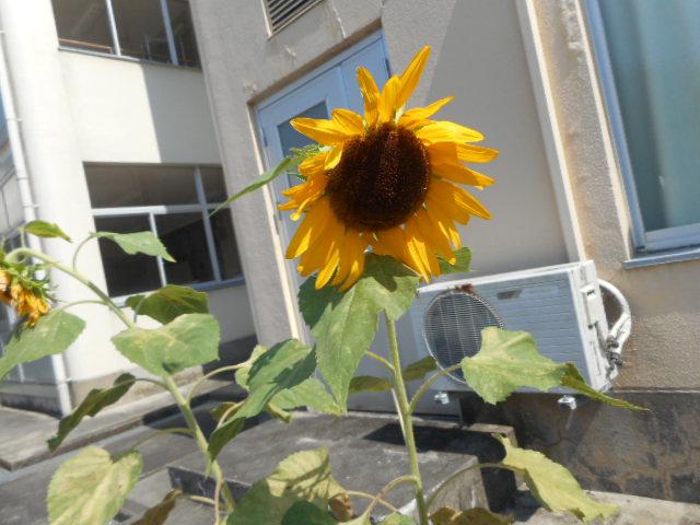 DSCN3387.JPG