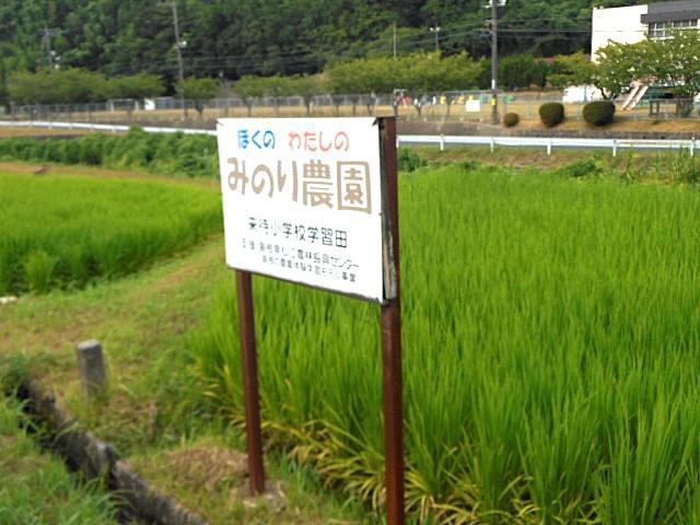 DSCN3449.jpg