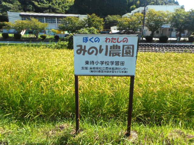 DSCN3501.JPG