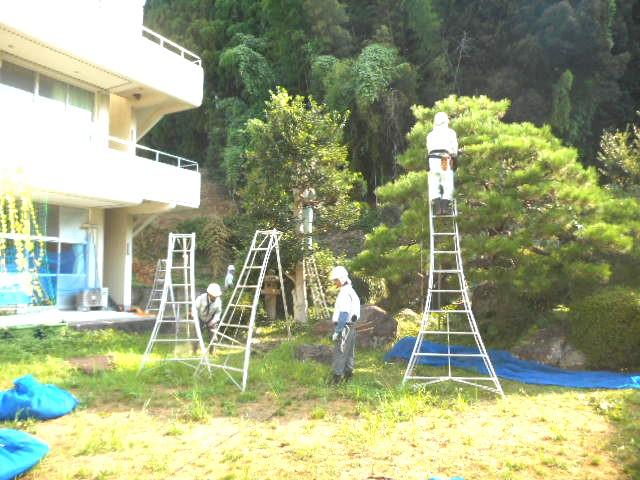 DSCN3539.JPG