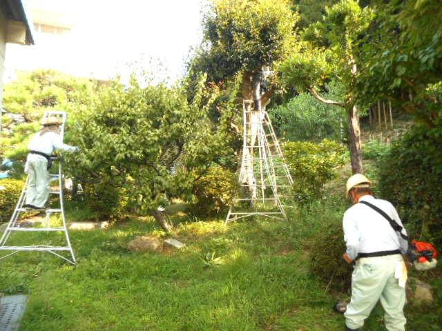 DSCN3541.JPG