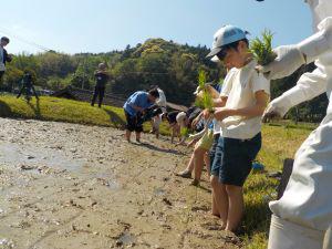 DSCN5238.JPG