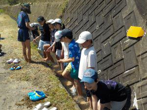 DSCN5273.JPG