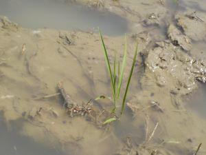 DSCN5298.JPG