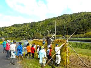 DSCN5919.JPG